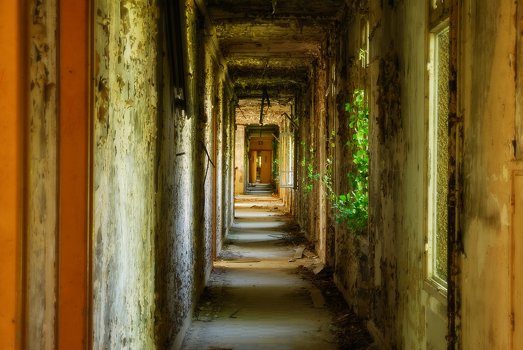 Corr ivy door
